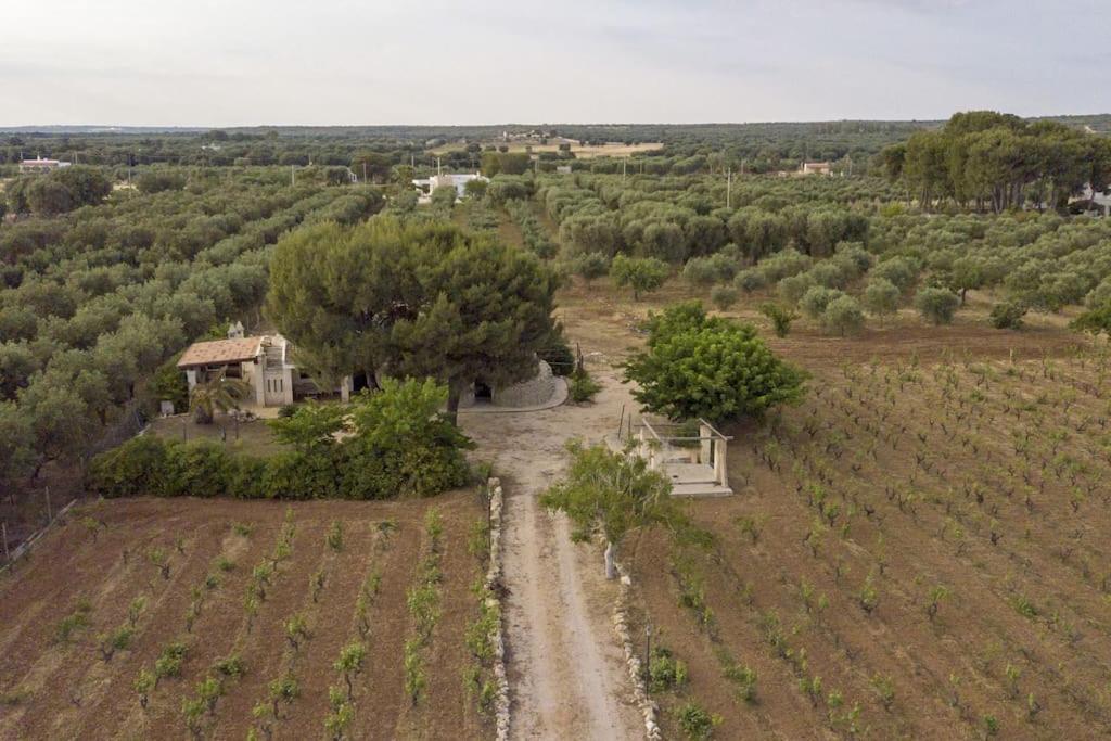 Villa Principe Degli Olivi Maruggio Exterior photo